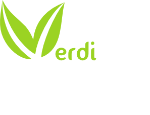 VERDINOVA Logo VERDINOVA Logo